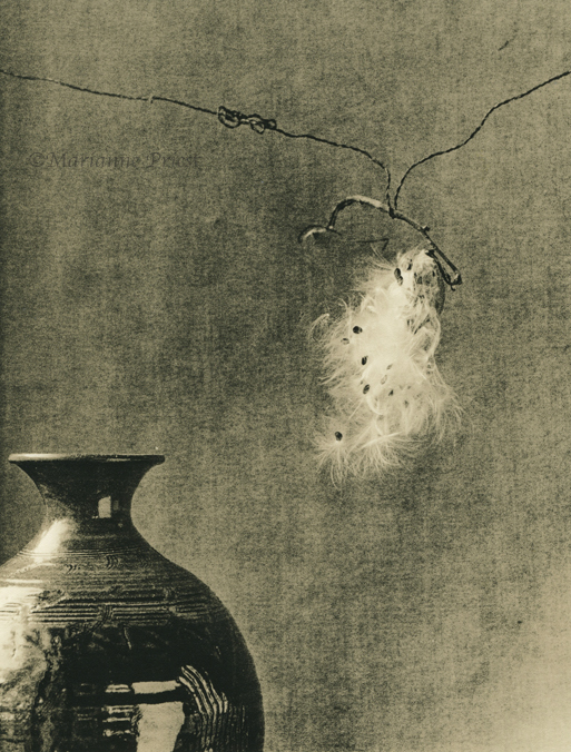 vase and seed pod