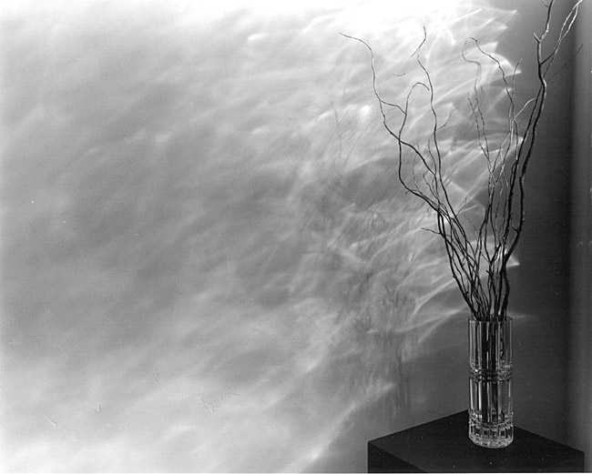 Vase and Twigs