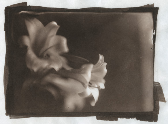 Vbd Print From Glass Plate