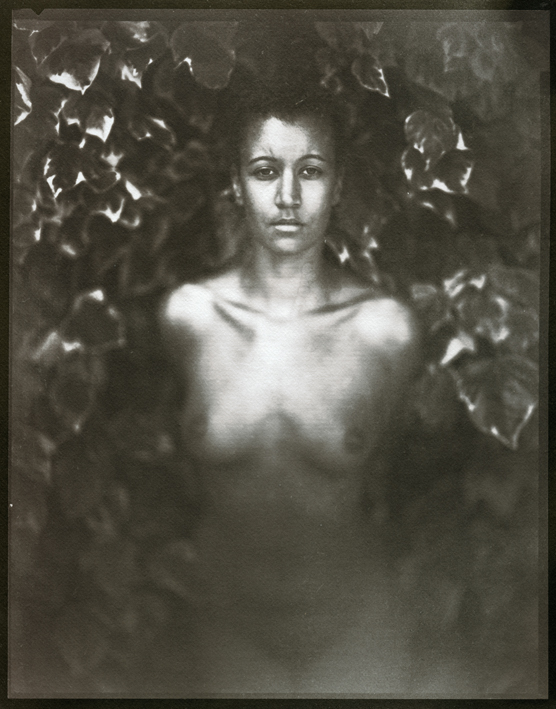VDB Nude