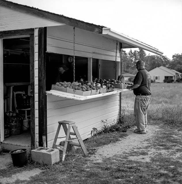 Veggie Stand