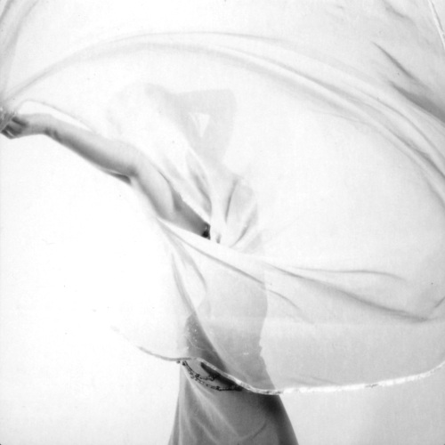 Veil