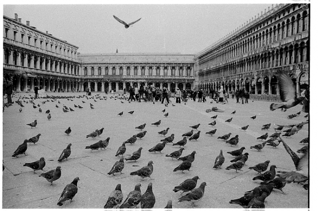 venice