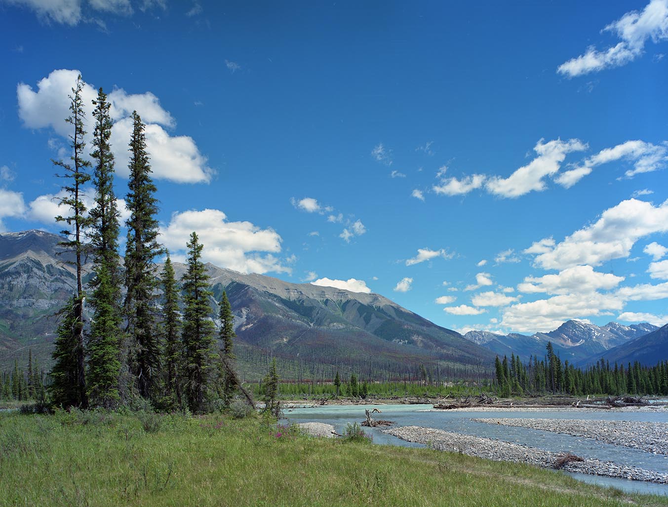 Verdant Creek Burn (Three Trees)