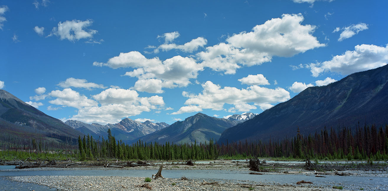 Verdant Creek Burn