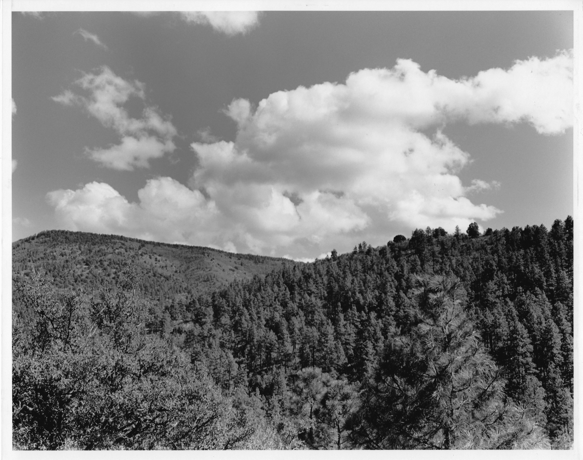 Verde Valley