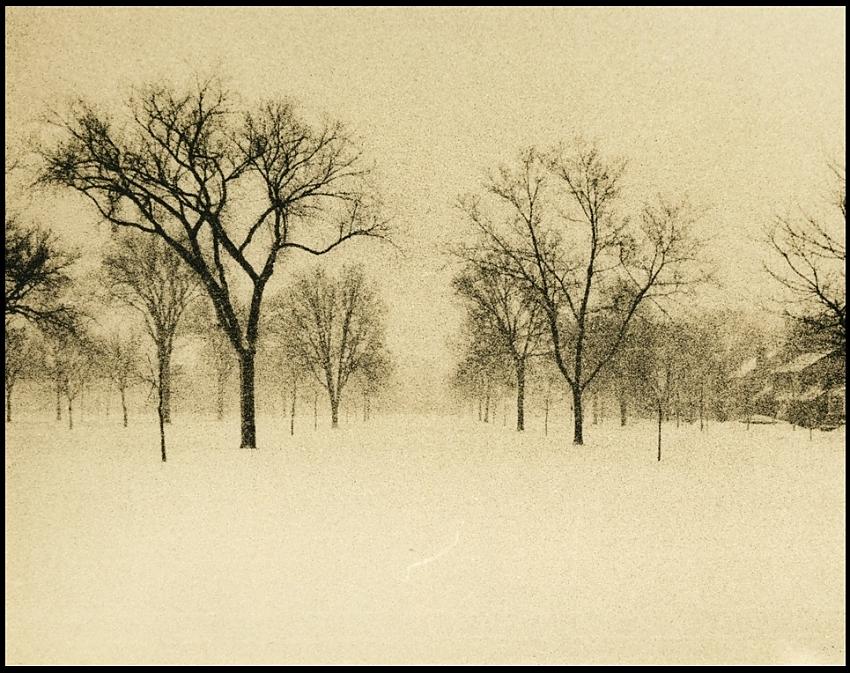 Victory Memorial Drive