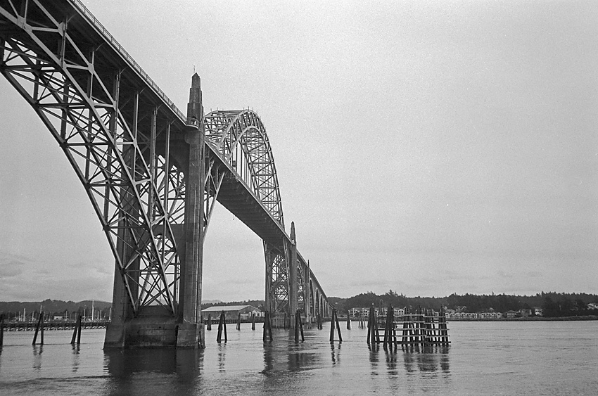 View from below