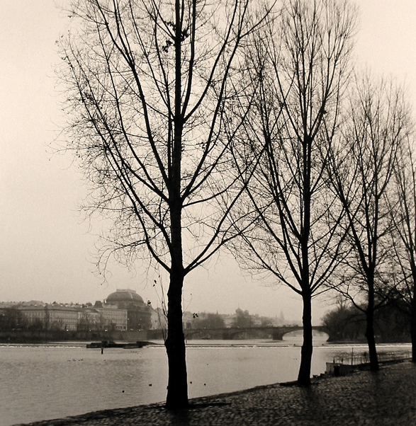 View From Kampa Island