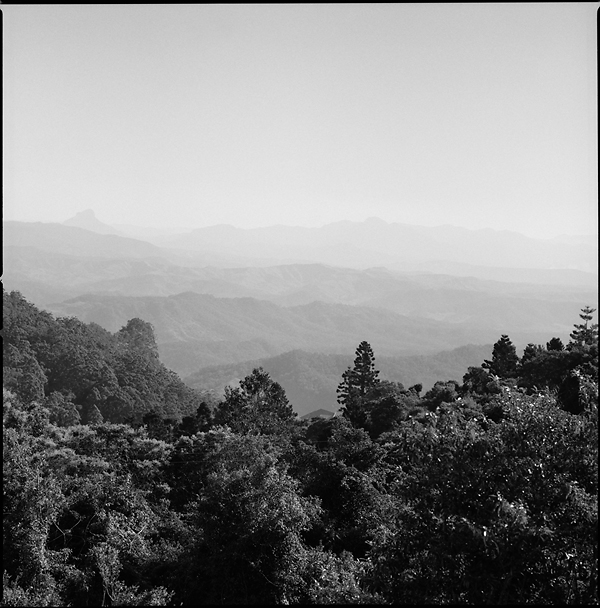View From The Cafe