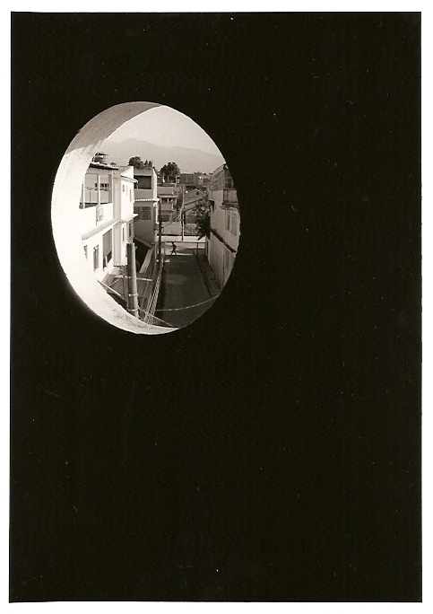 View from the window