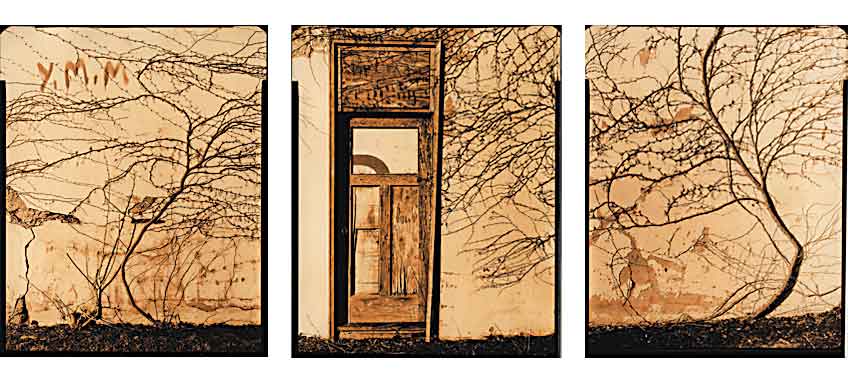 Vines And Door Triptych