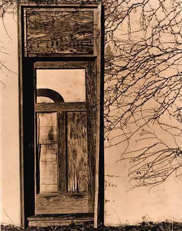Vines And Door