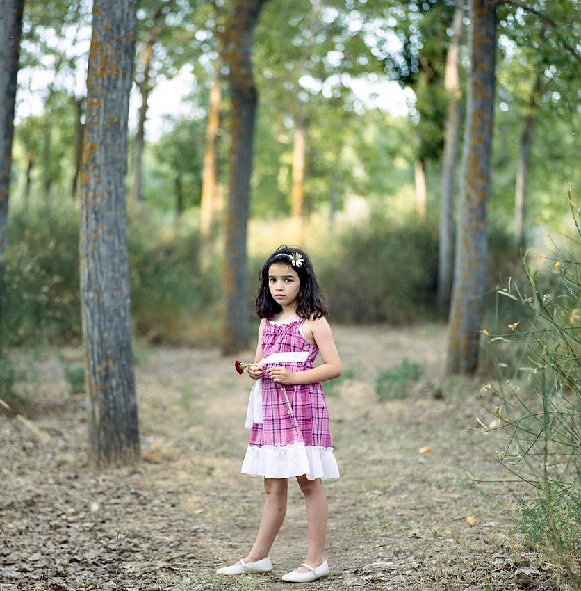 Violeta in the forest