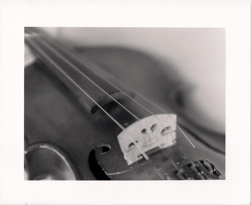 Violin Bridge