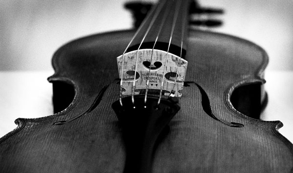violin-end-view-5.1