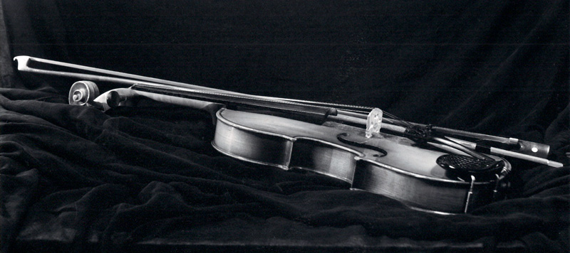 Violin Study