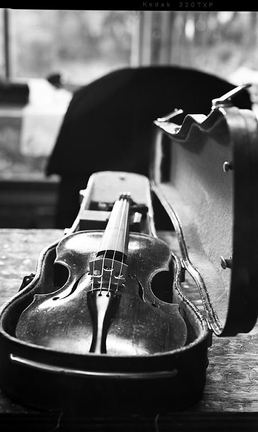 violin