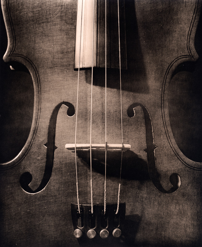 Violin