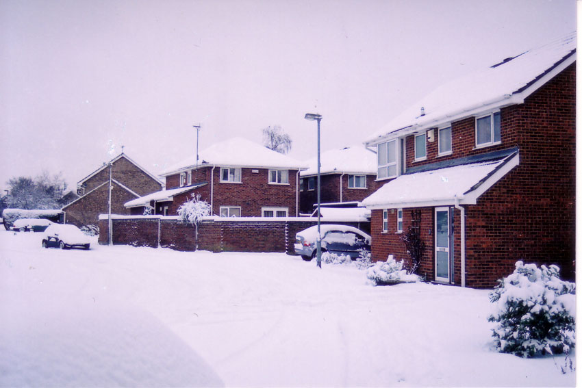 Virgin Snow