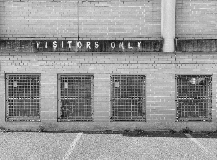 Visitors Only