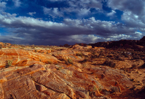 VoF Nevada