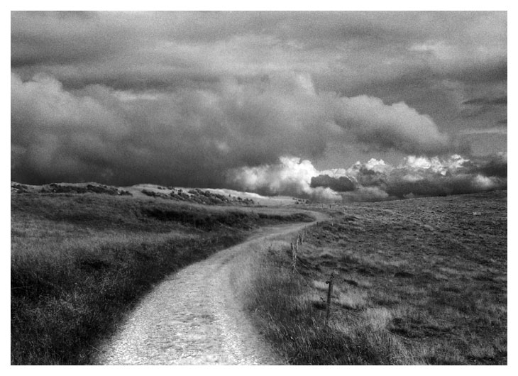 Vosges - revisited