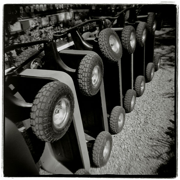 Wagons at The Henry's Plant Farm