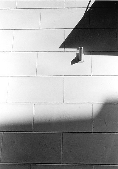 Waiting For A Flag