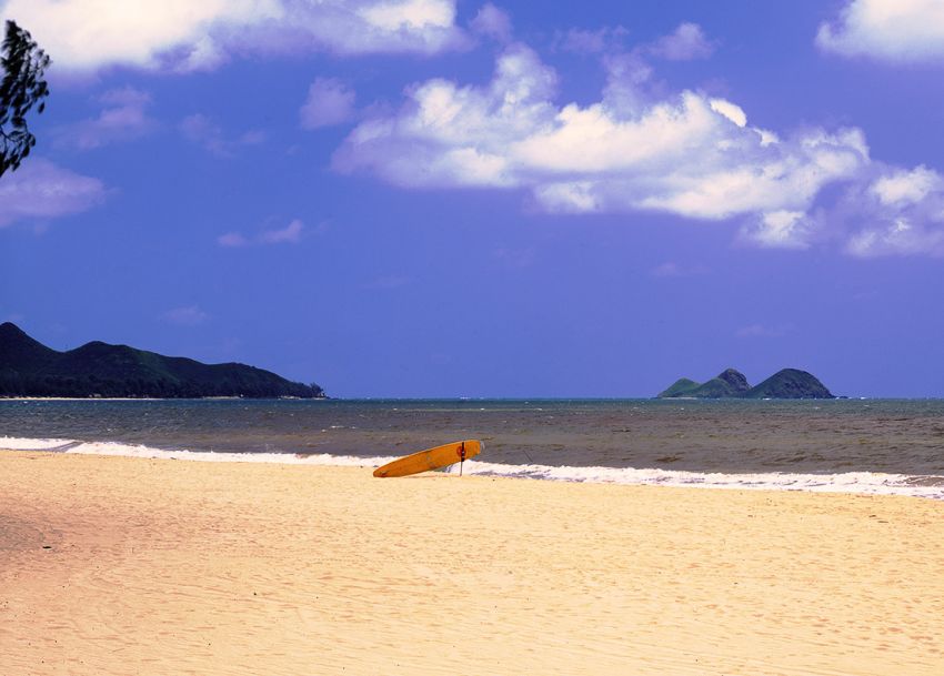 Waiting for the surf.