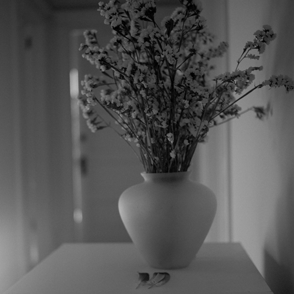 Waiting Room Flowers