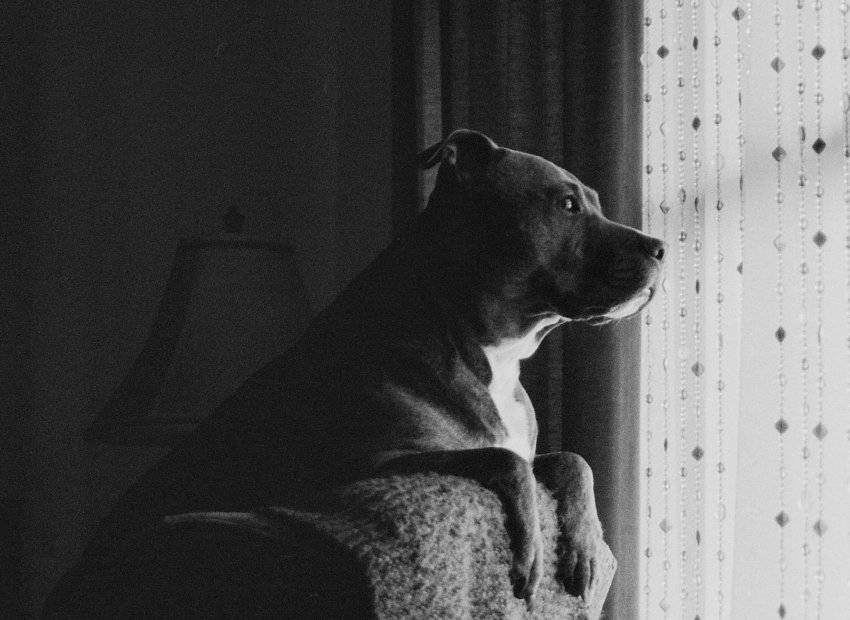 Waiting