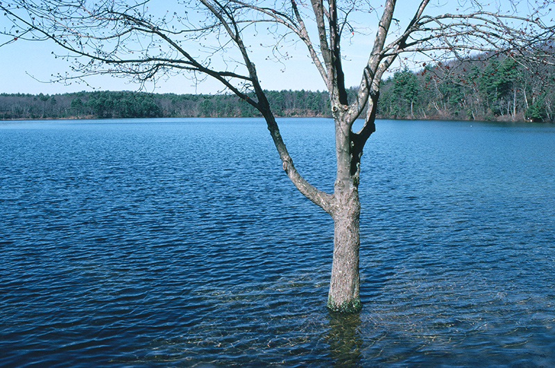 Walden, High Water