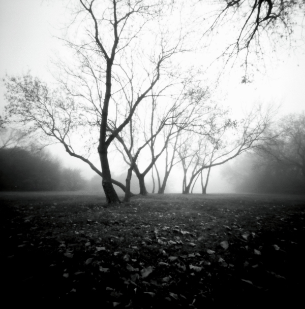 Walk in Fog