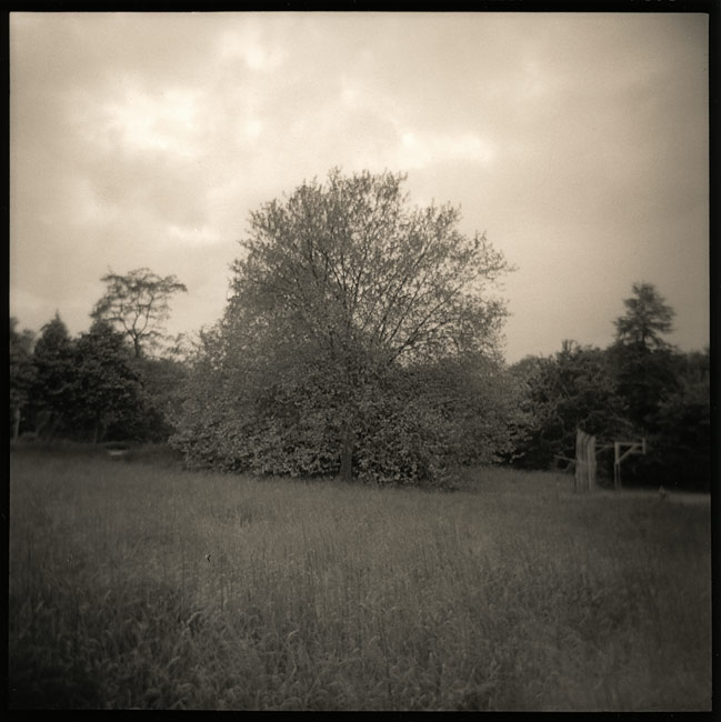 walking the dog  2nd marking point