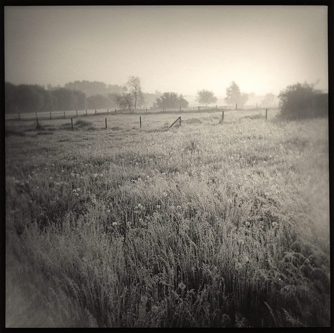 walking the dog   speedway