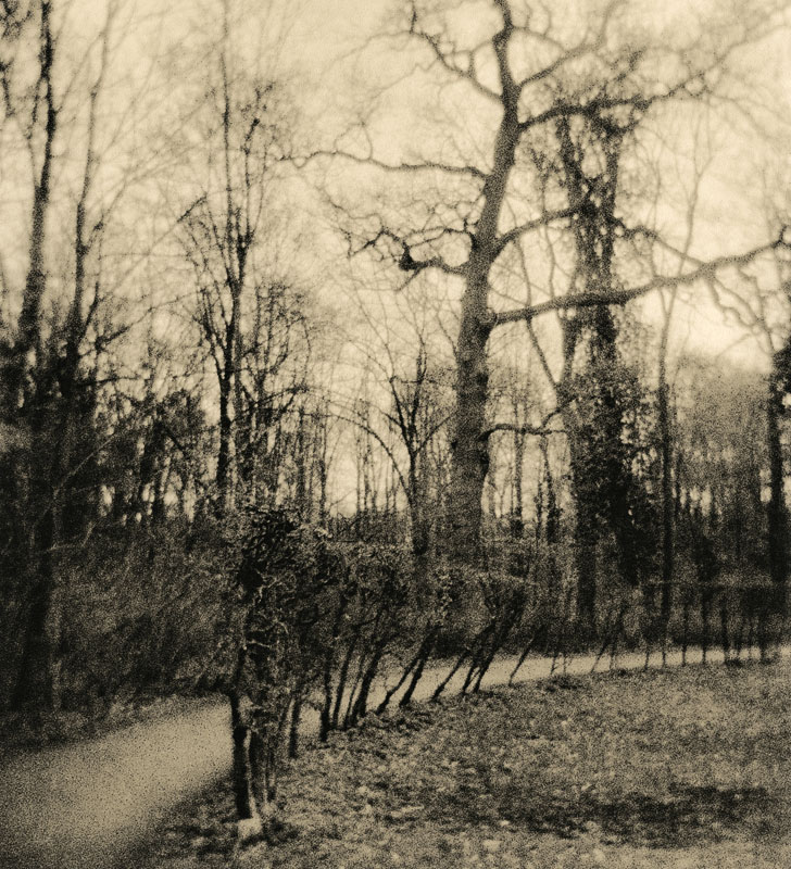 Walking through the Park