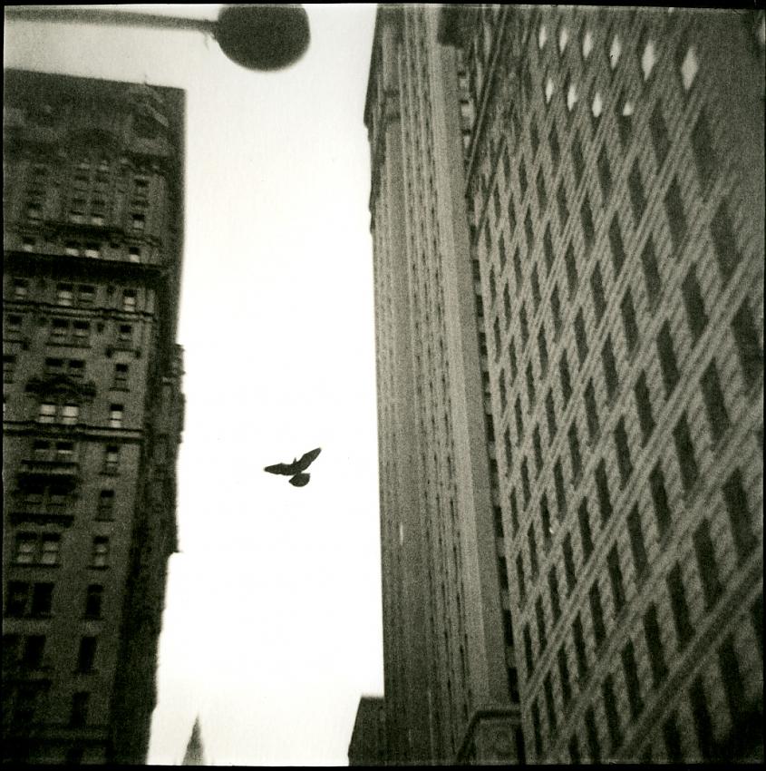 Wall St.
