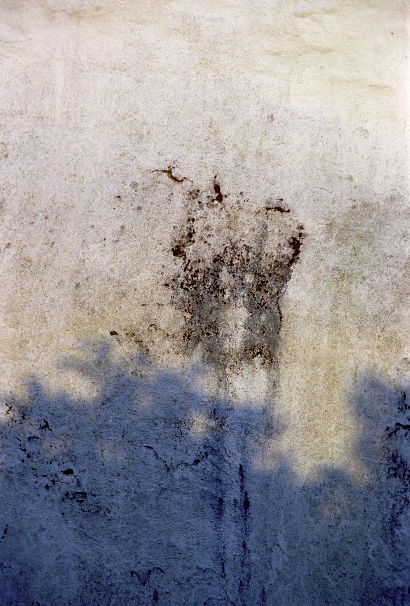 Wall texture