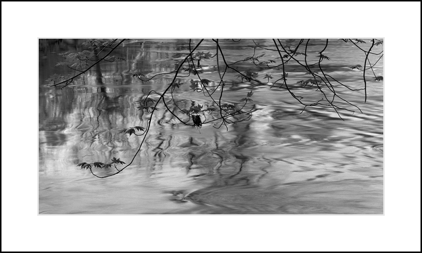 Wallkill River 1