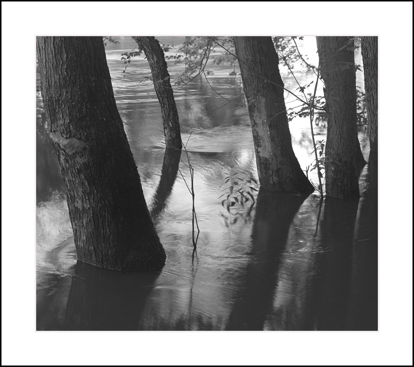Wallkill River in Flood6