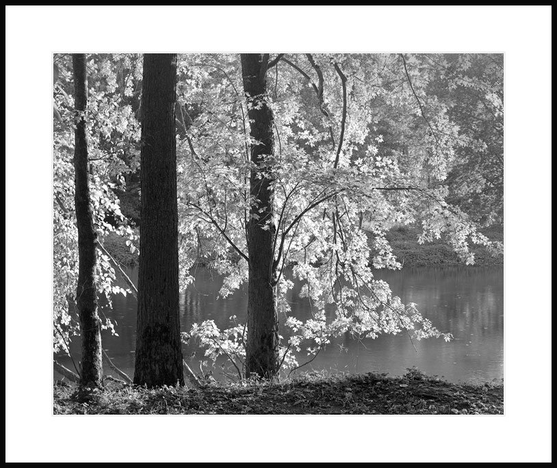 Wallkill River on an October Afternoon