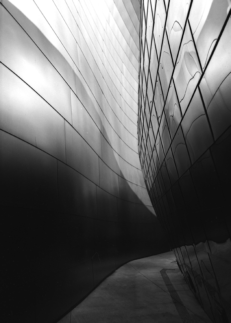 Walt Disney concert hall