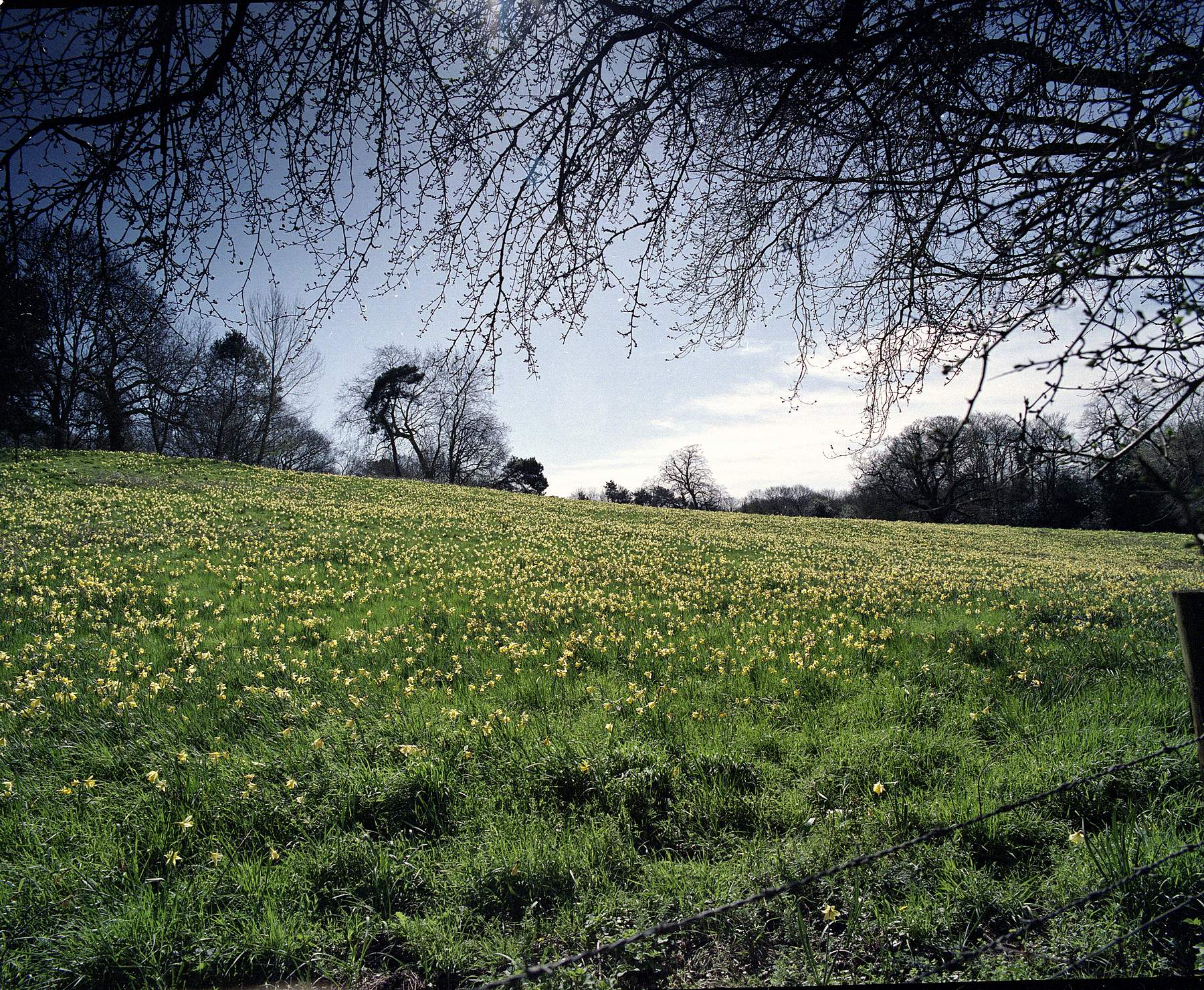 Warley Wildlife Reserve 01