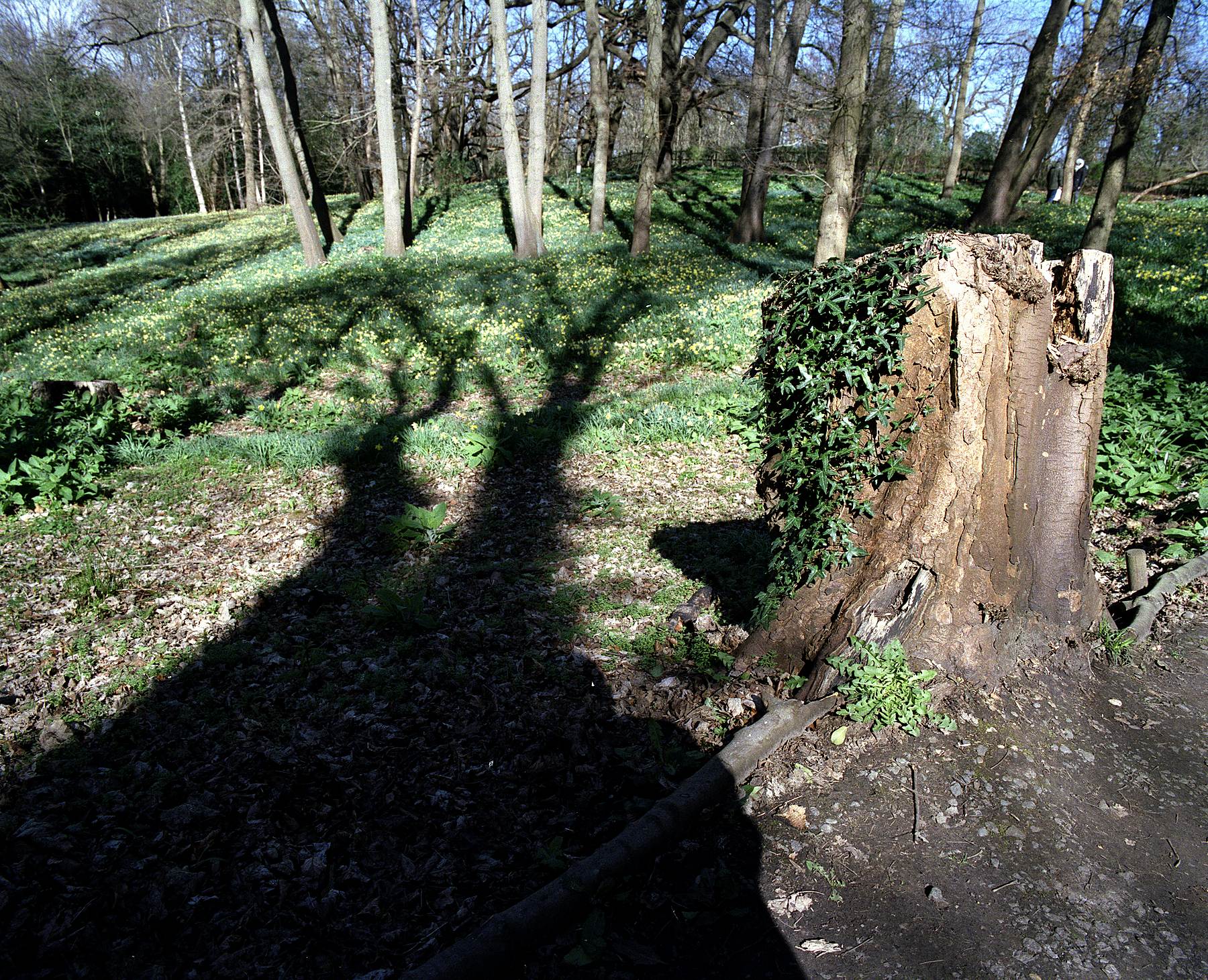 Warley Wildlife Reserve 02