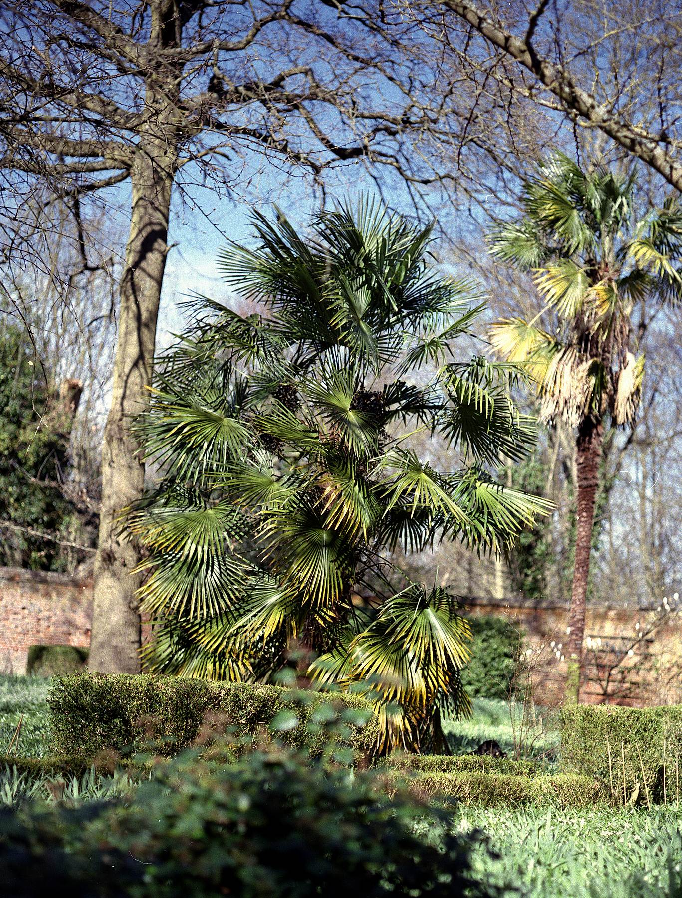 Warley Wildlife Reserve 03