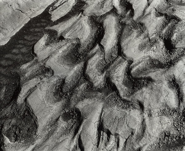 Wash, Bisti Badlands