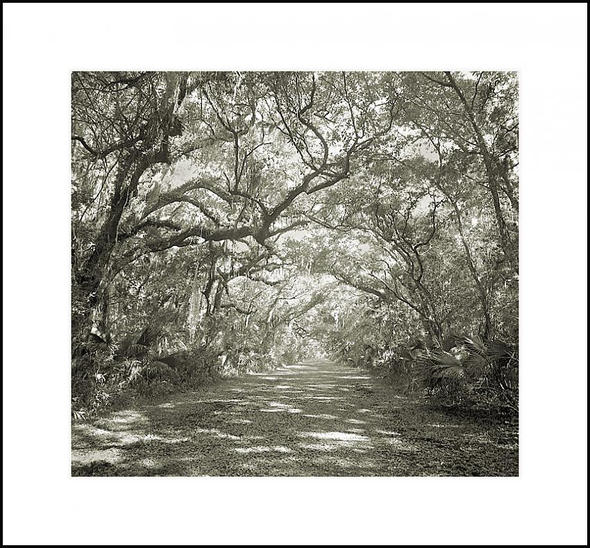 Washington Oaks Road