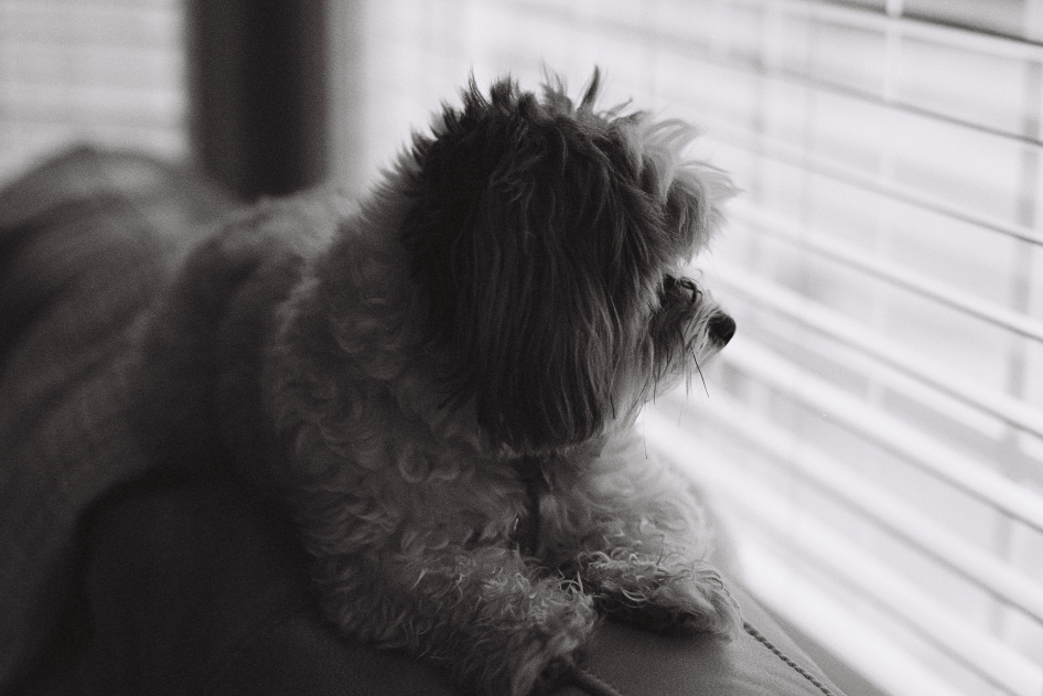 Watching