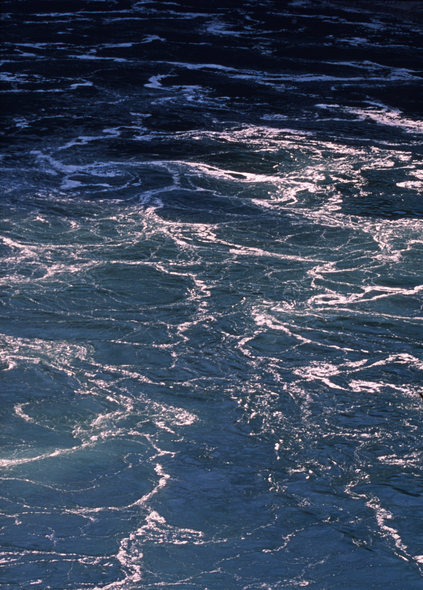 Water Gods Sputum